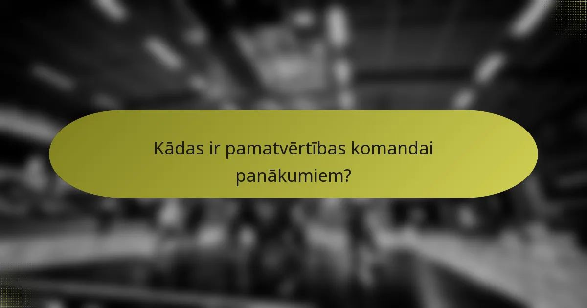 Kādas ir pamatvērtības komandai panākumiem?